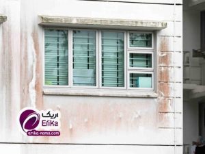 رنگ مقاوم در برابر خزه و جلبک؛ راه‌حلی برای مشکل همیشگی نمای ساختمان