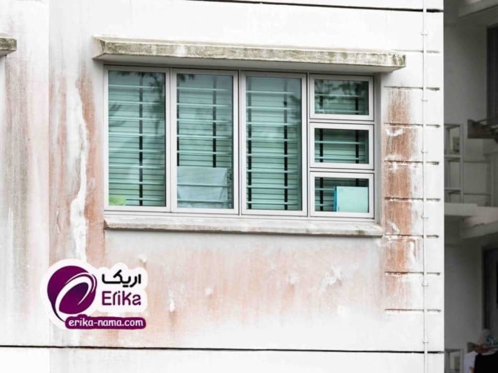 رنگ مقاوم در برابر خزه و جلبک؛ راه‌حلی برای مشکل همیشگی نمای ساختمان